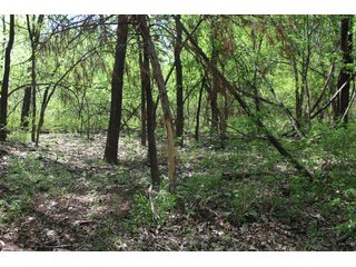 Property photo 64 - LAND AUCTION - 1,371+/- ACRES OFFERED IN 25 TRACTS IN GOLDSBY, OKLAHOMA
